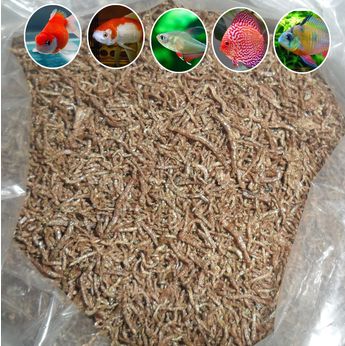 Freeze Dried Bloodworm Fresh Tropical Fish Discus Tetra Food Feeding